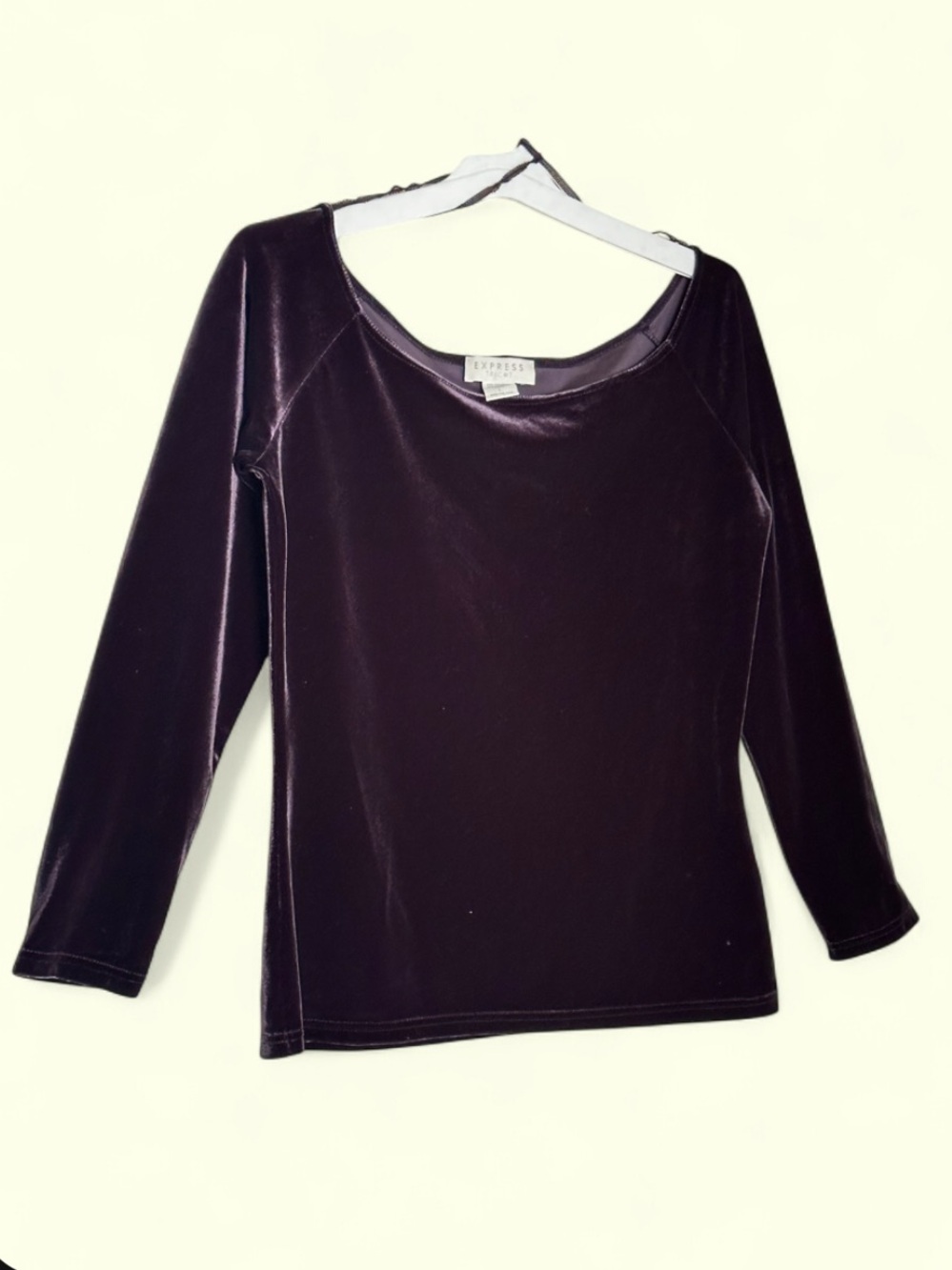 Vintage Express Tricot whimsigoth witchy grunge dark purple velvet top
